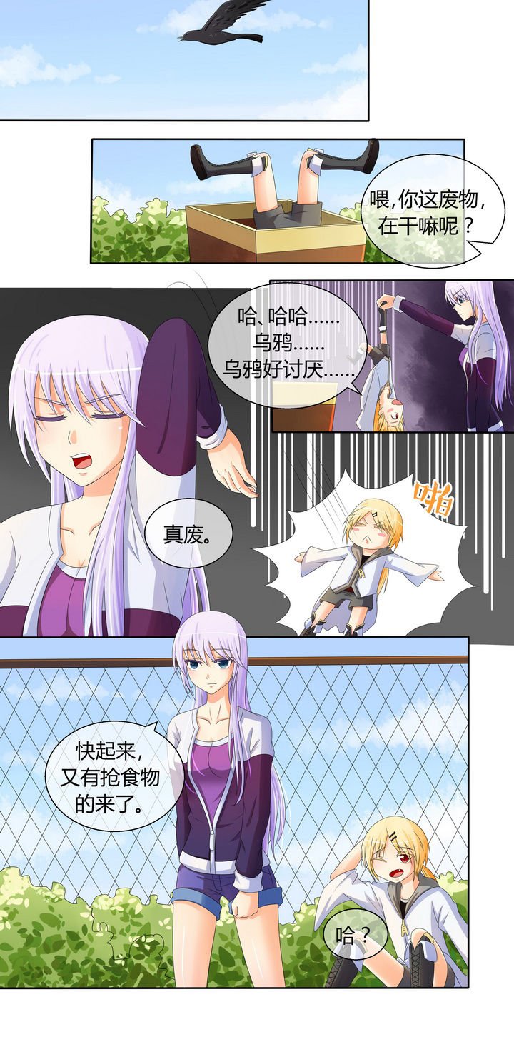 第12章：