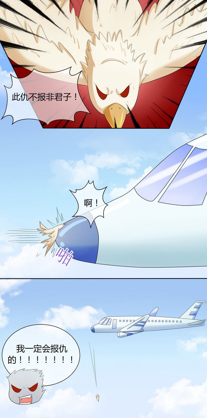第14章：