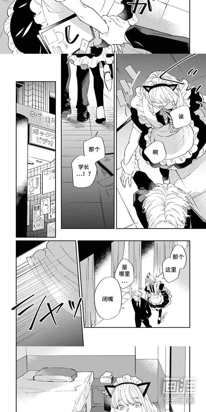 第3章：照片