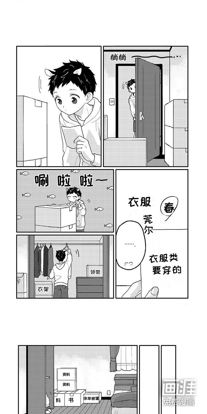 第11章：整理
