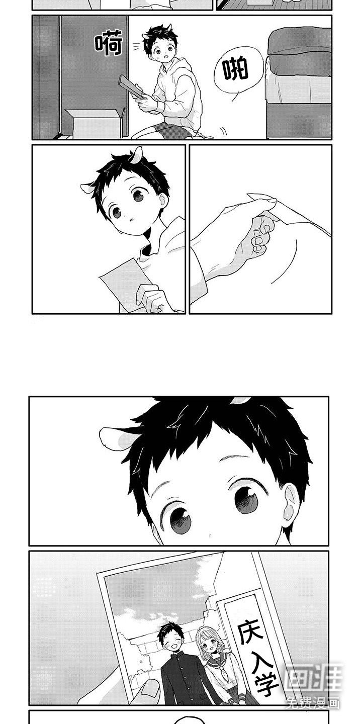 第12章：照片