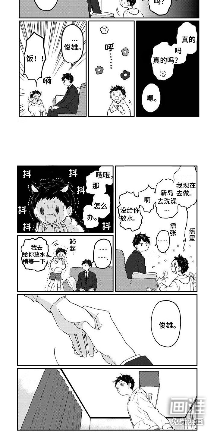 第12章：照片