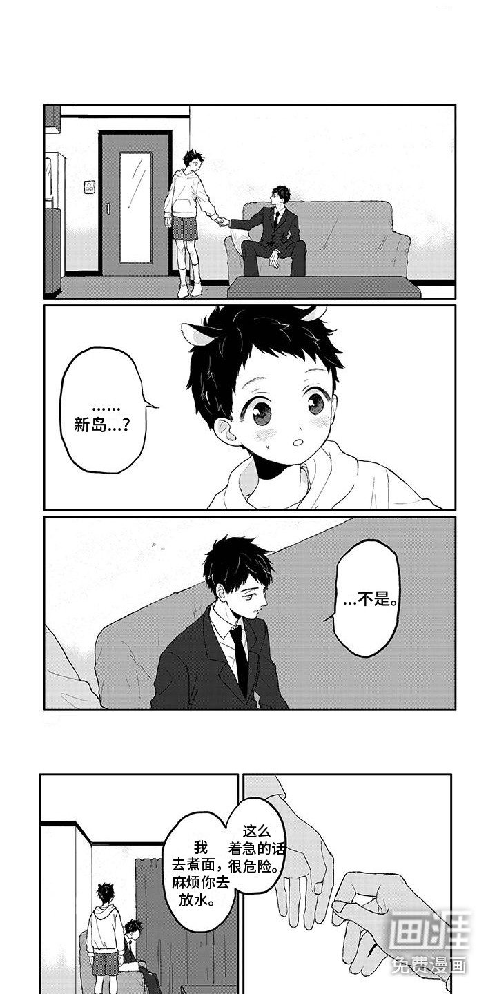 第12章：照片