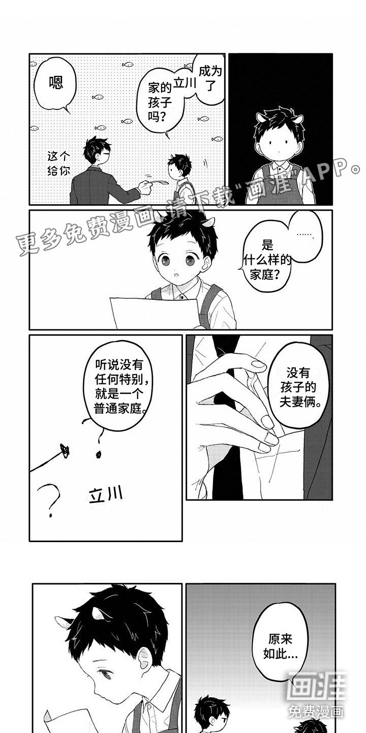 第18章：调查