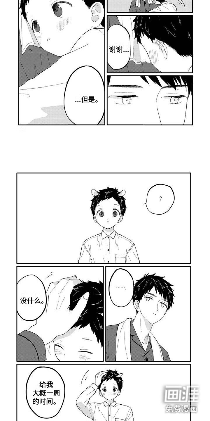 第18章：调查