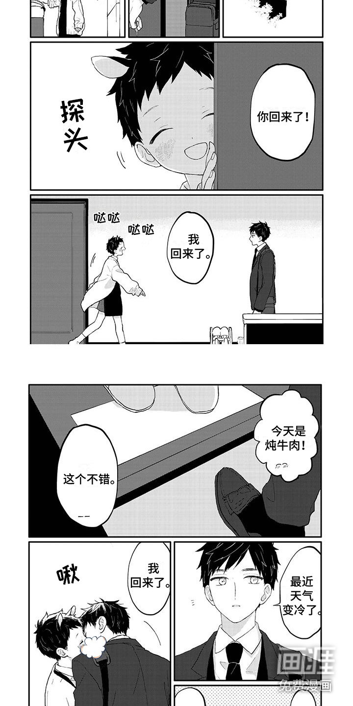 第45章：请多关照（完结）
