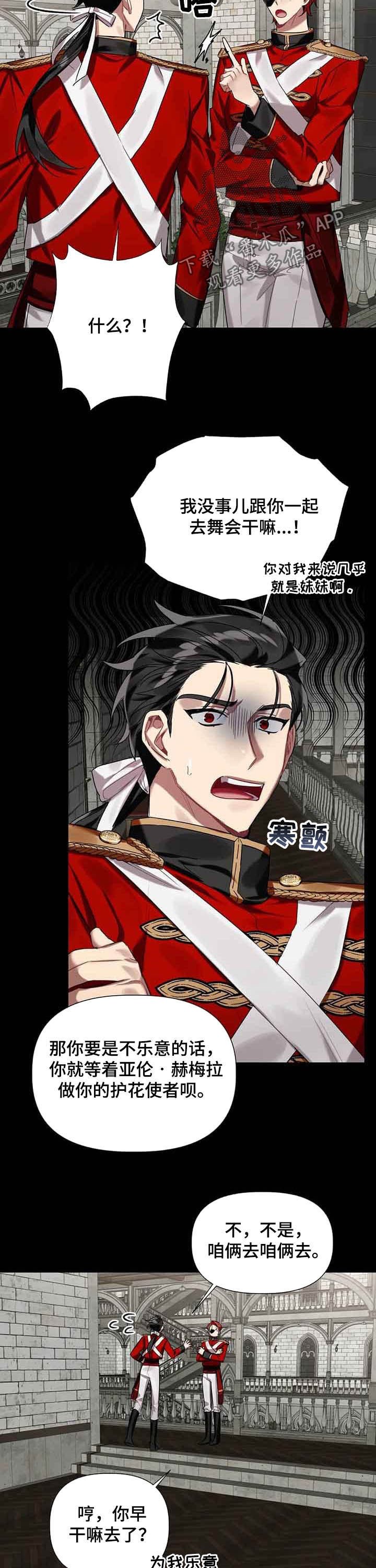 第20章：舞伴