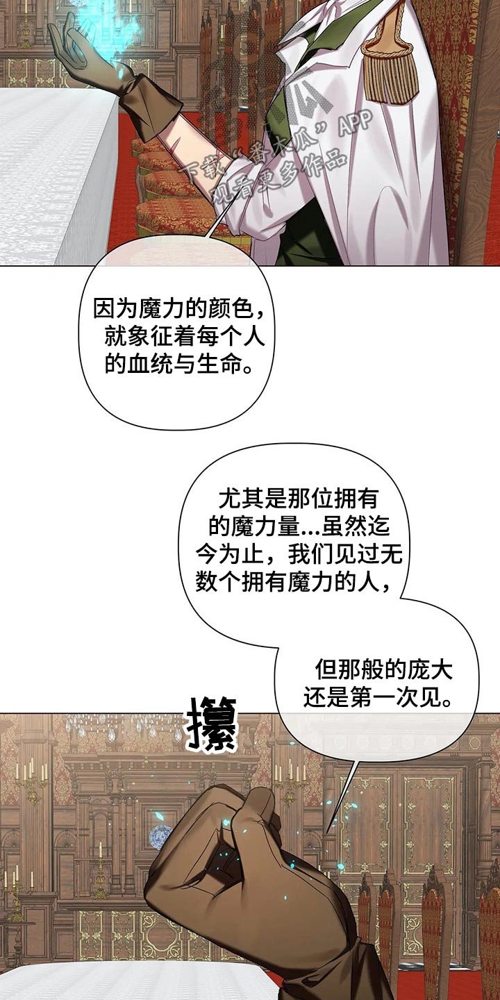 第49章：【第二季】魔力