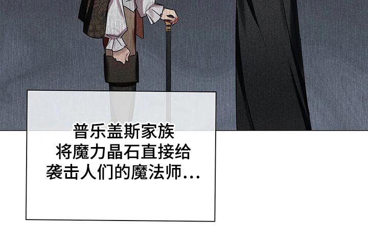 第71章：【第二季】古代魔法