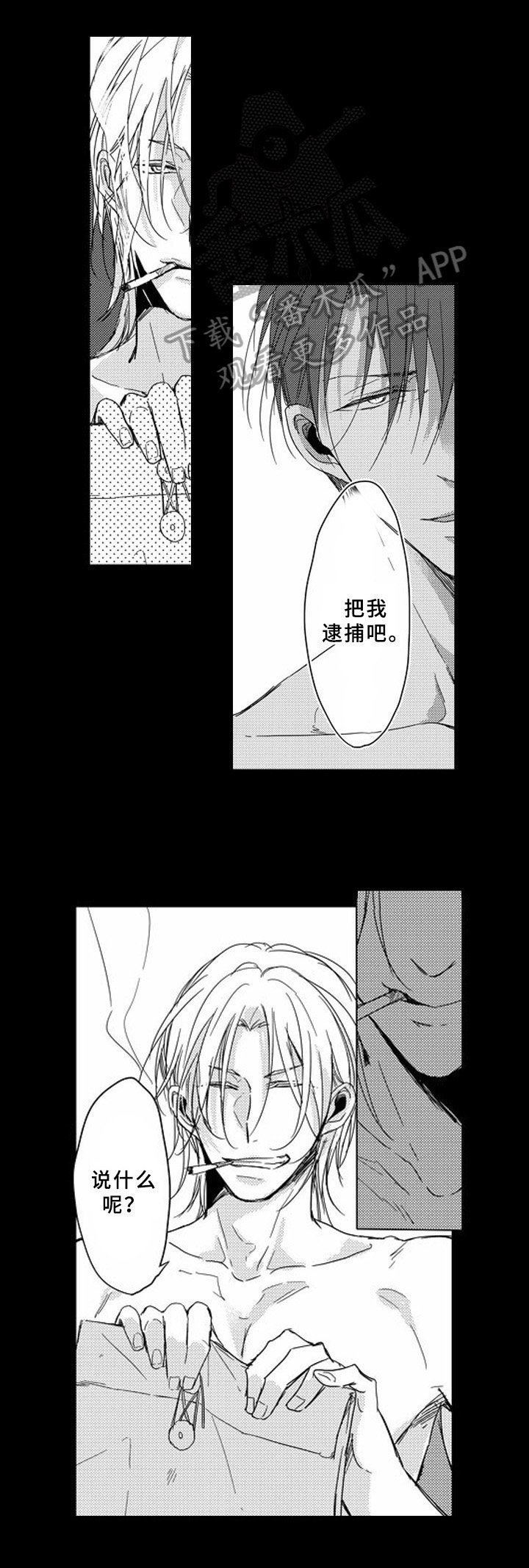 第11章：归属