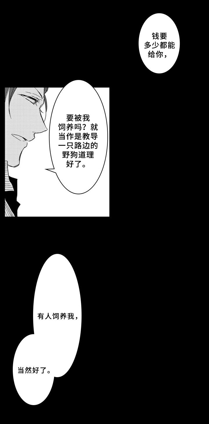 第3章：收留