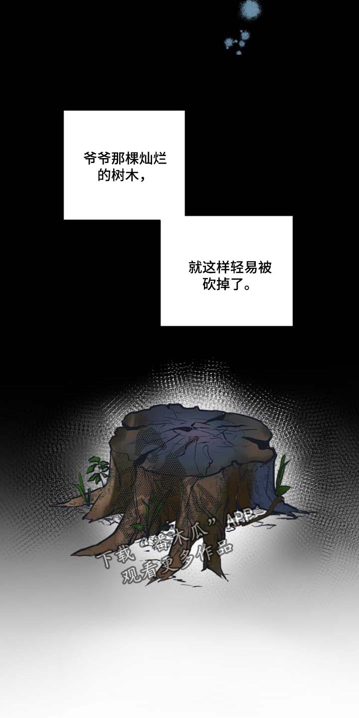 第42章：我会保护你（第一季完结）