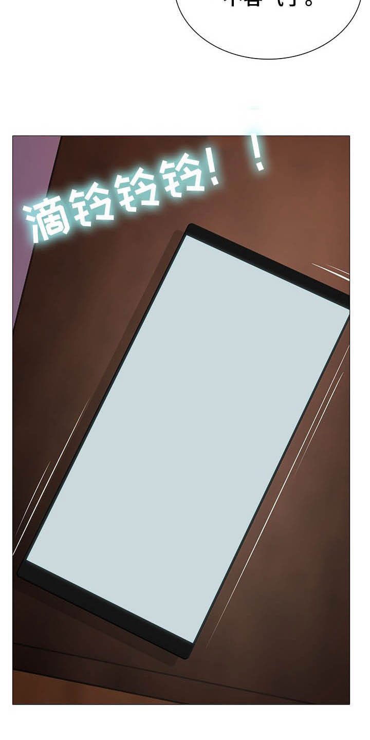 第29章：电话
