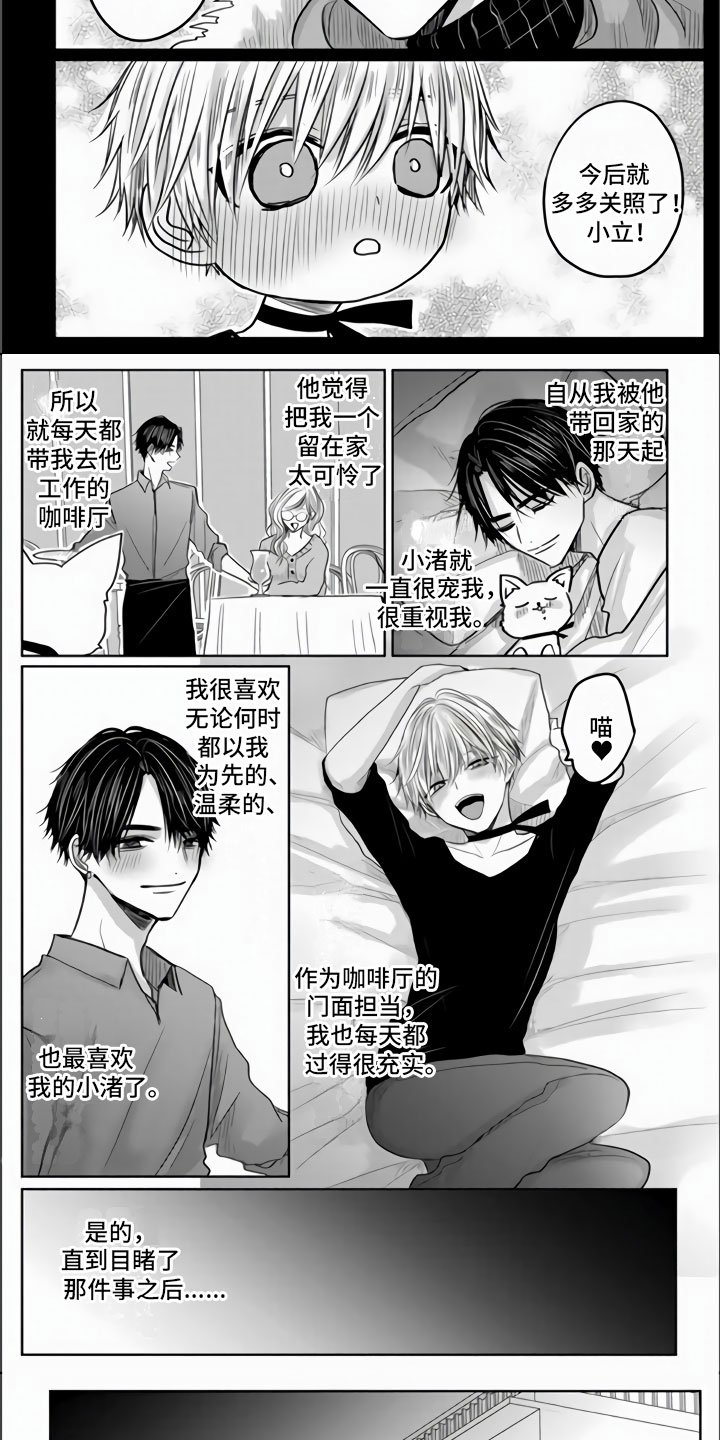 第1章：狂风暴雨的开始