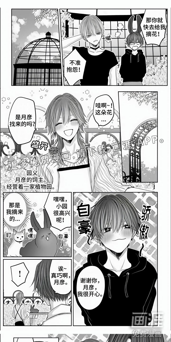 第11章：突如其来