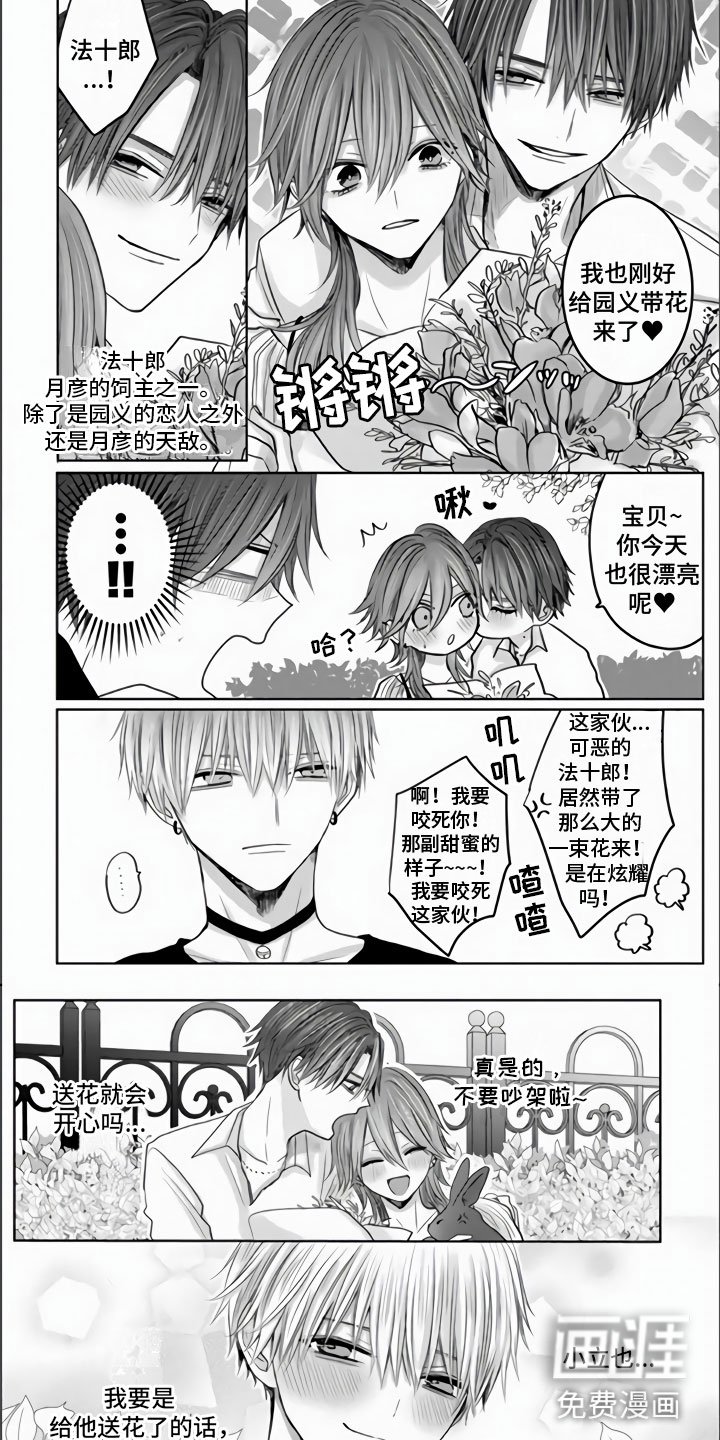 第11章：突如其来