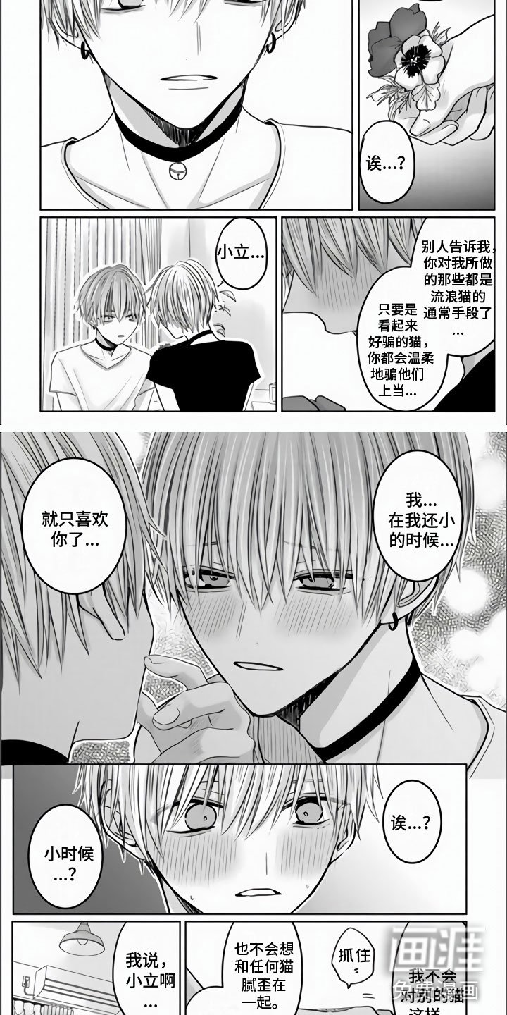 第12章：主人不在家