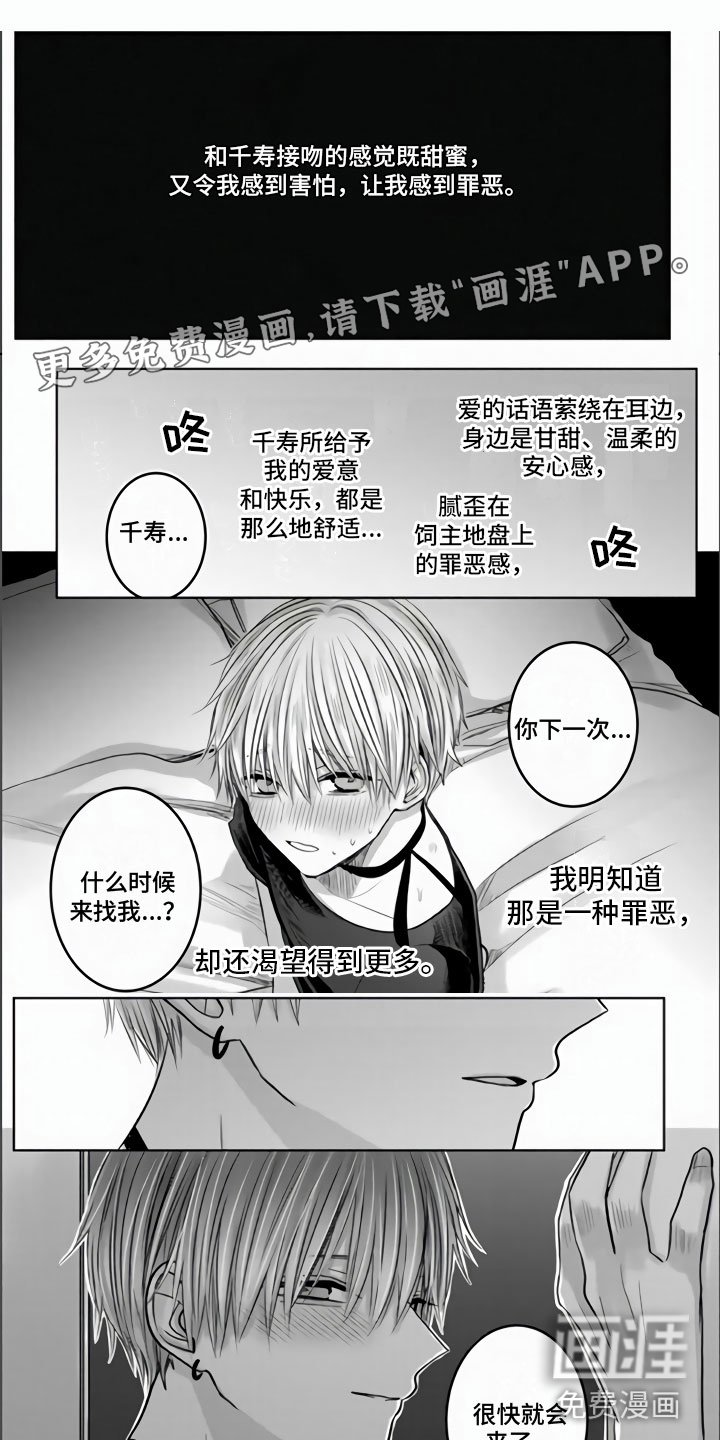 第13章：发热期来临