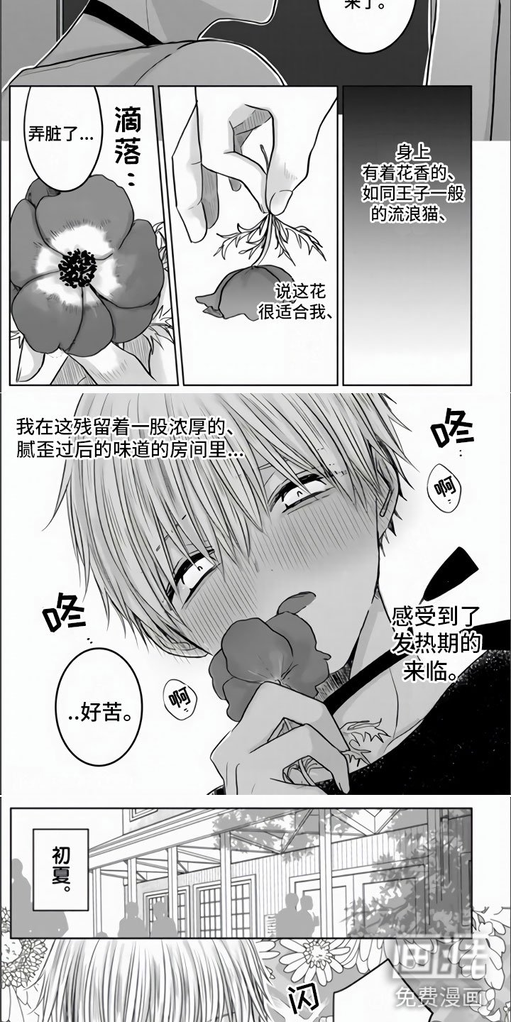 第13章：发热期来临