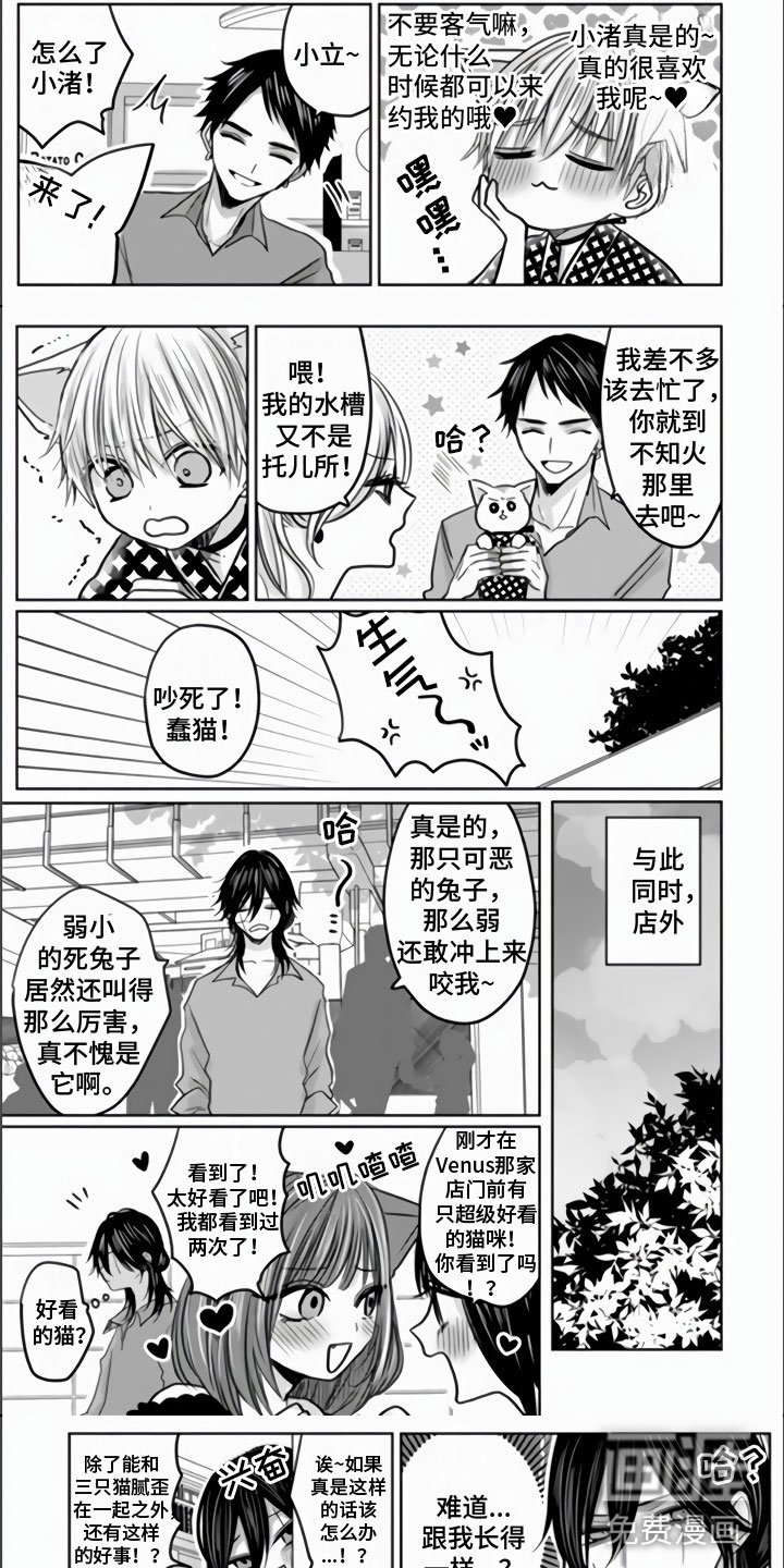 第13章：发热期来临