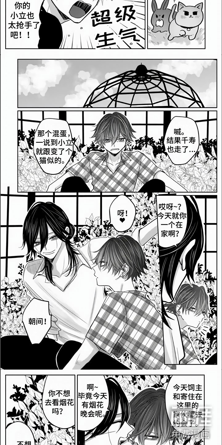 第18章：兔子与猫