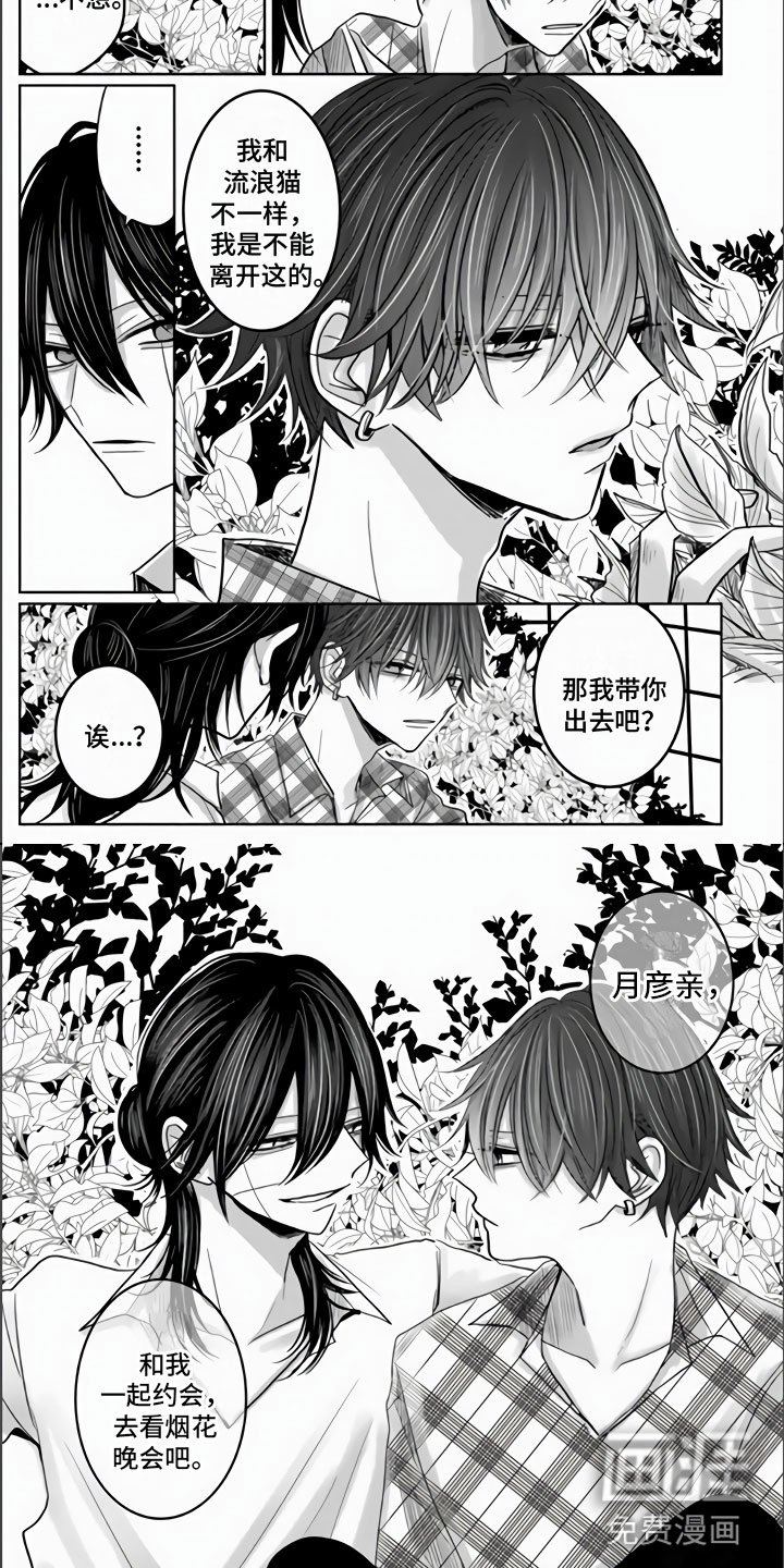 第18章：兔子与猫