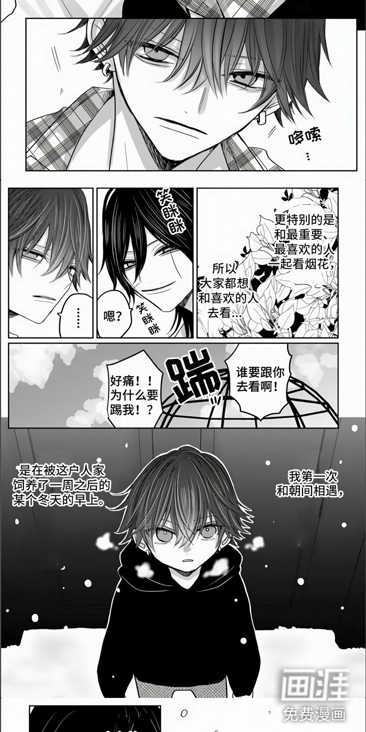 第18章：兔子与猫