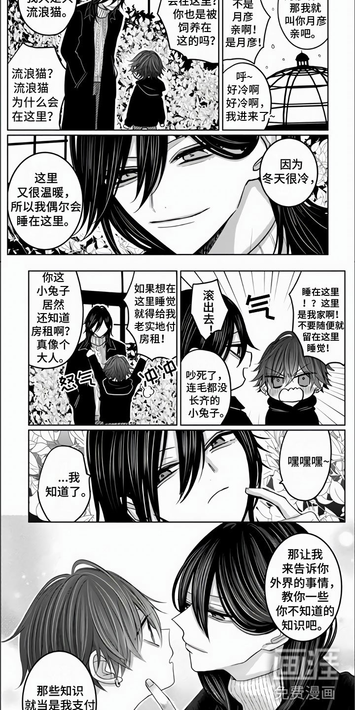 第18章：兔子与猫