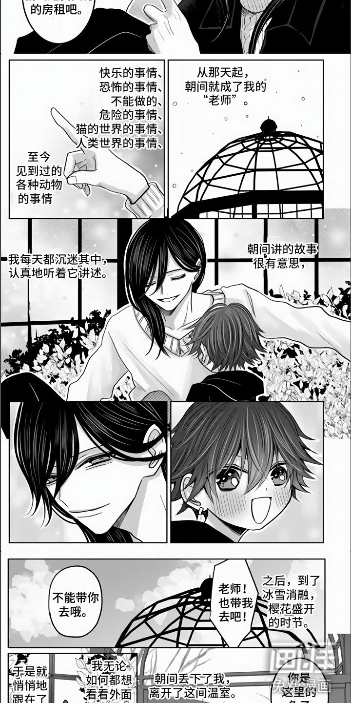 第18章：兔子与猫