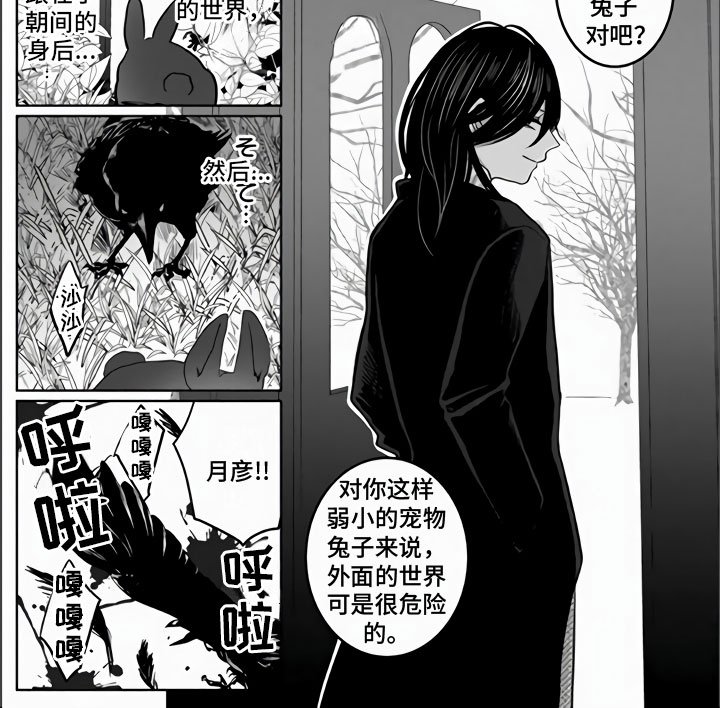 第18章：兔子与猫