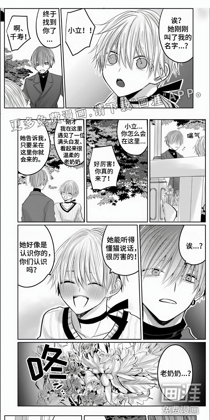 第22章：我可以吗？