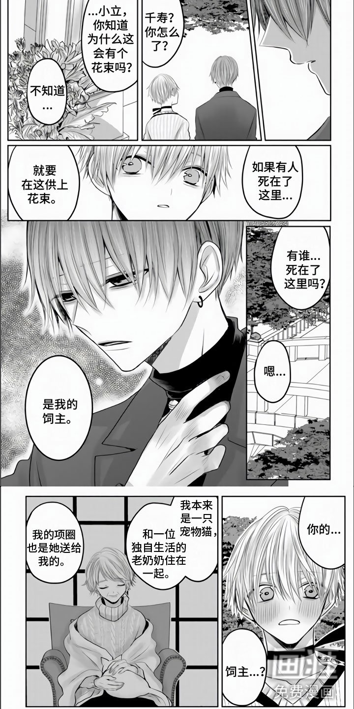 第22章：我可以吗？
