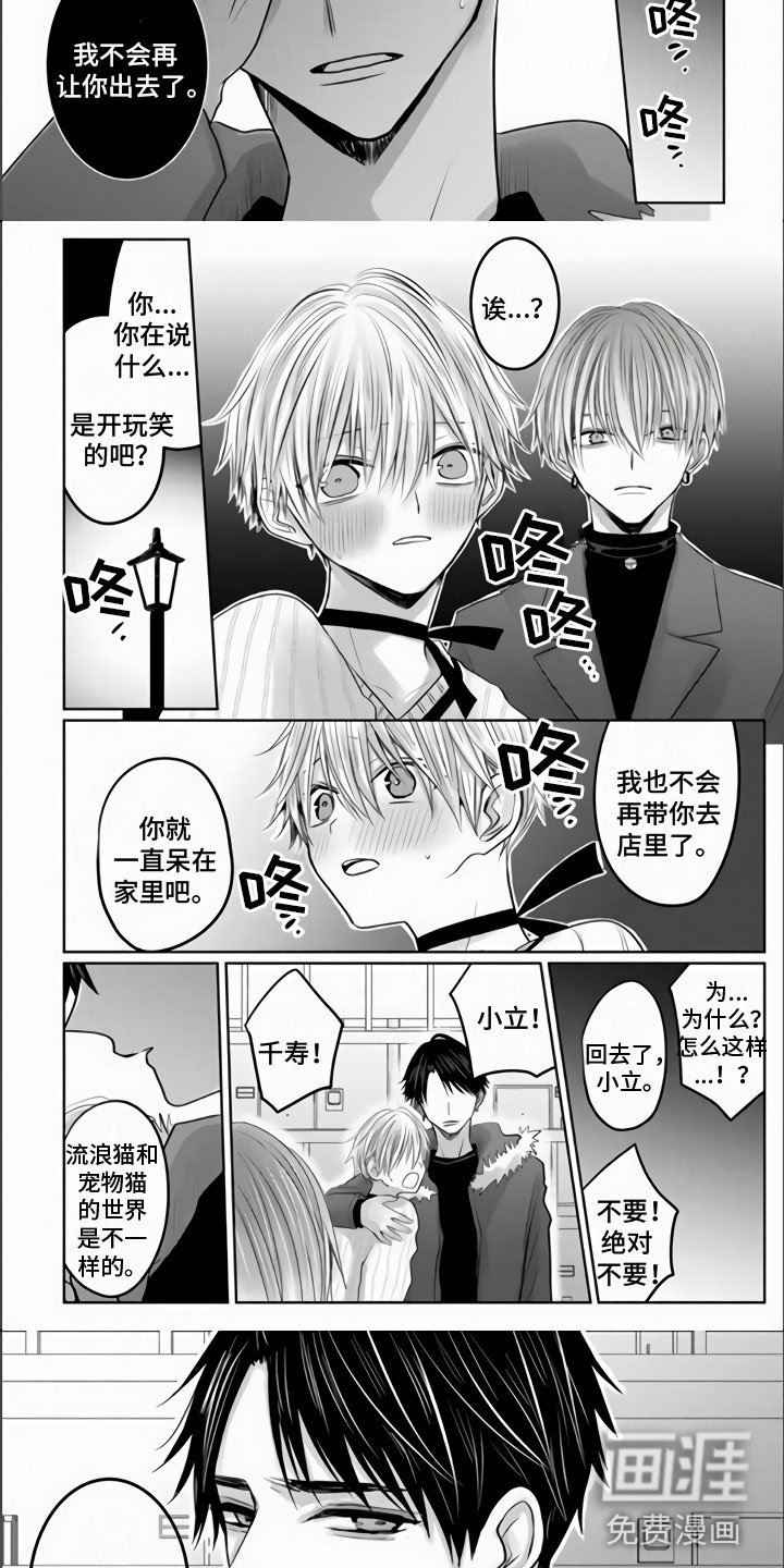 第23章：棒打鸳鸯