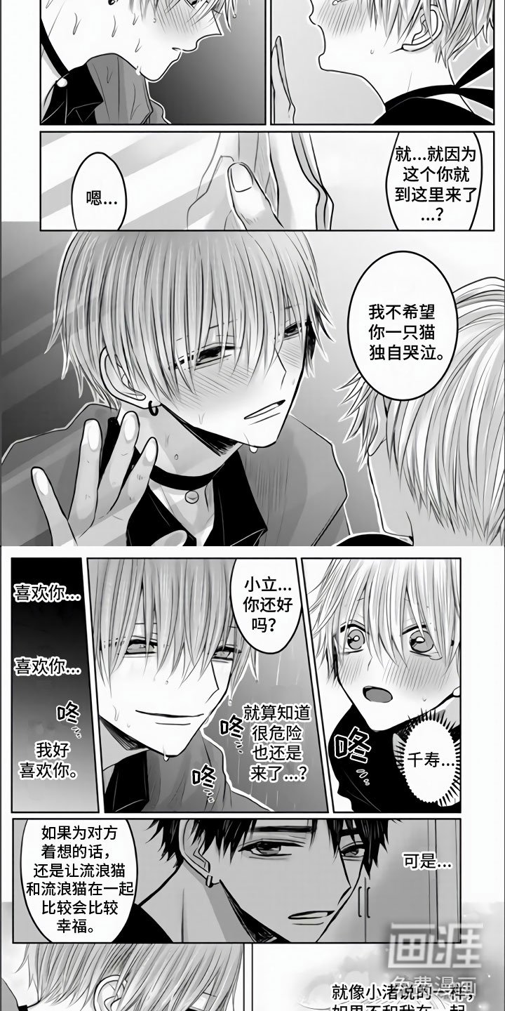 第26章：隔窗的吻