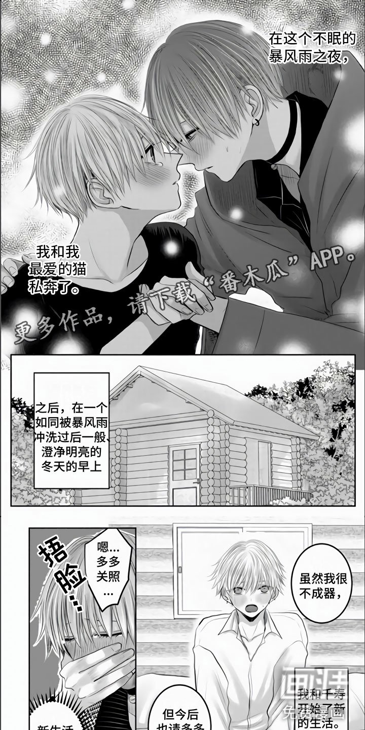 第28章：永远属于你