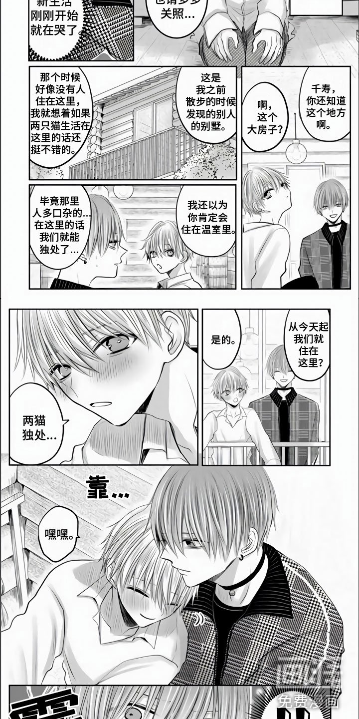 第28章：永远属于你