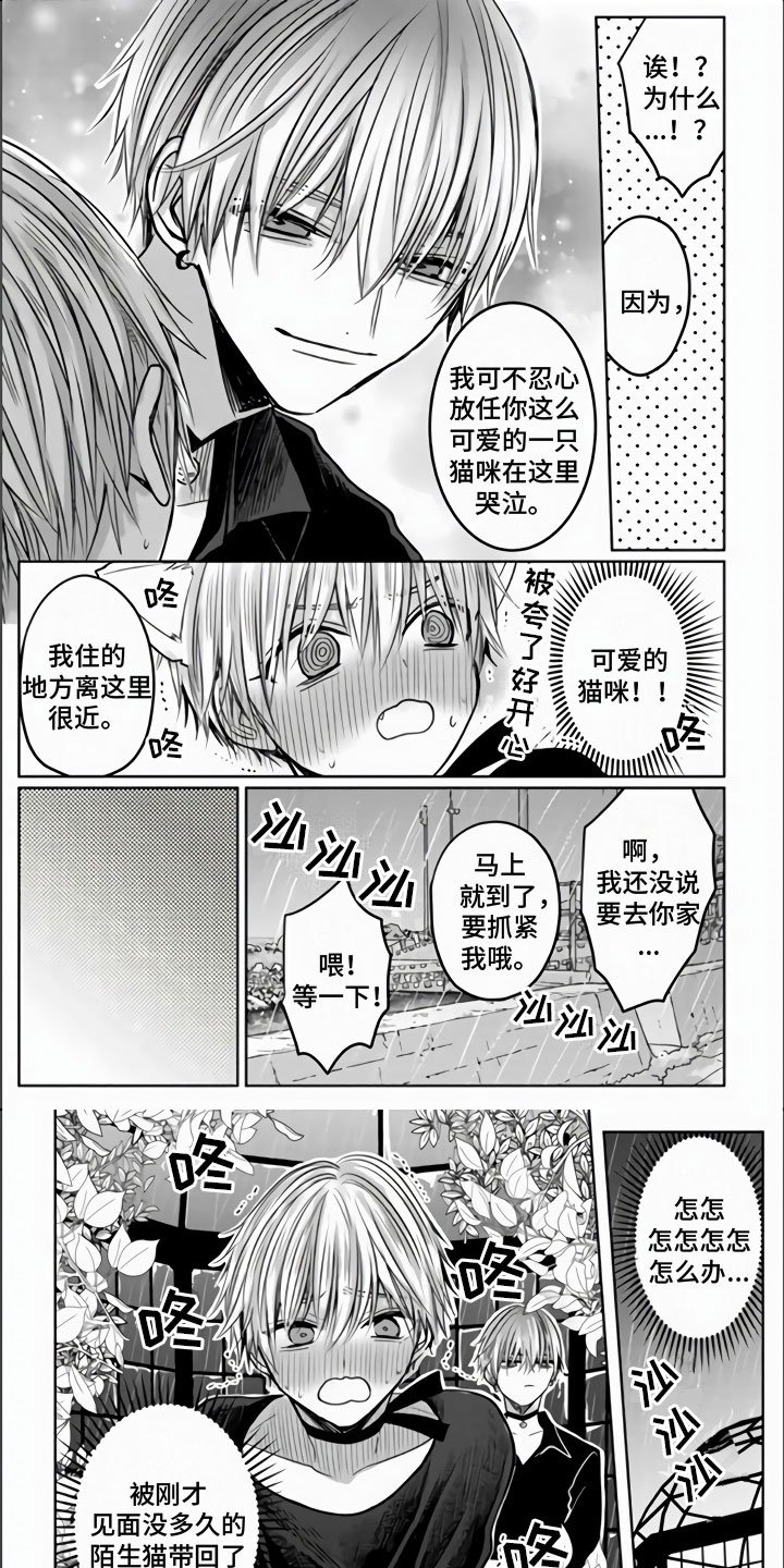 第3章：被拐走了