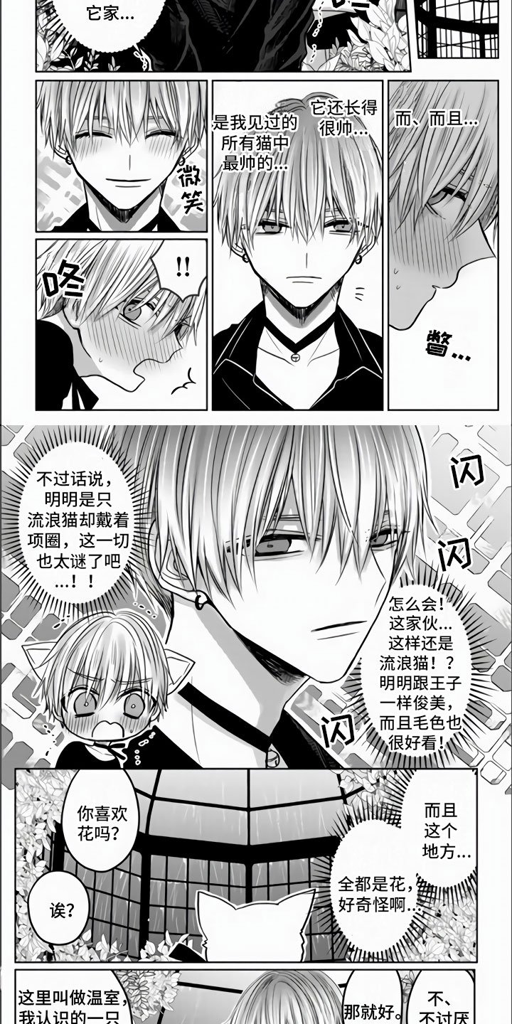第3章：被拐走了