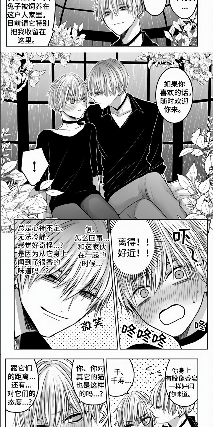 第3章：被拐走了