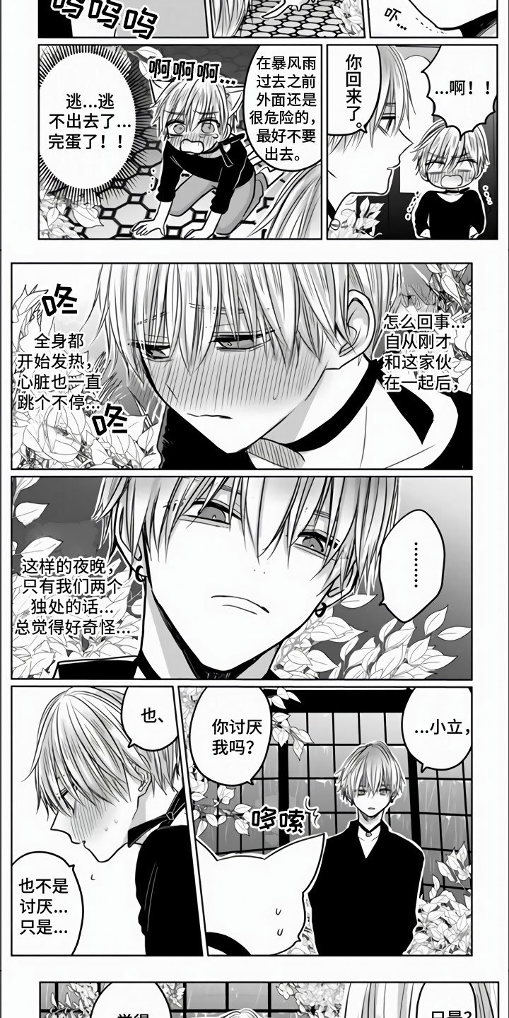 第3章：被拐走了