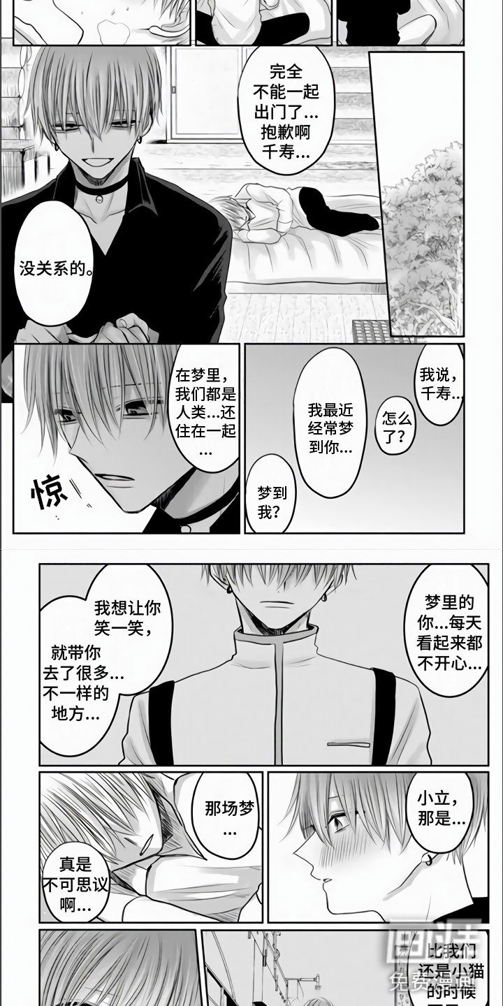 第30章：突变