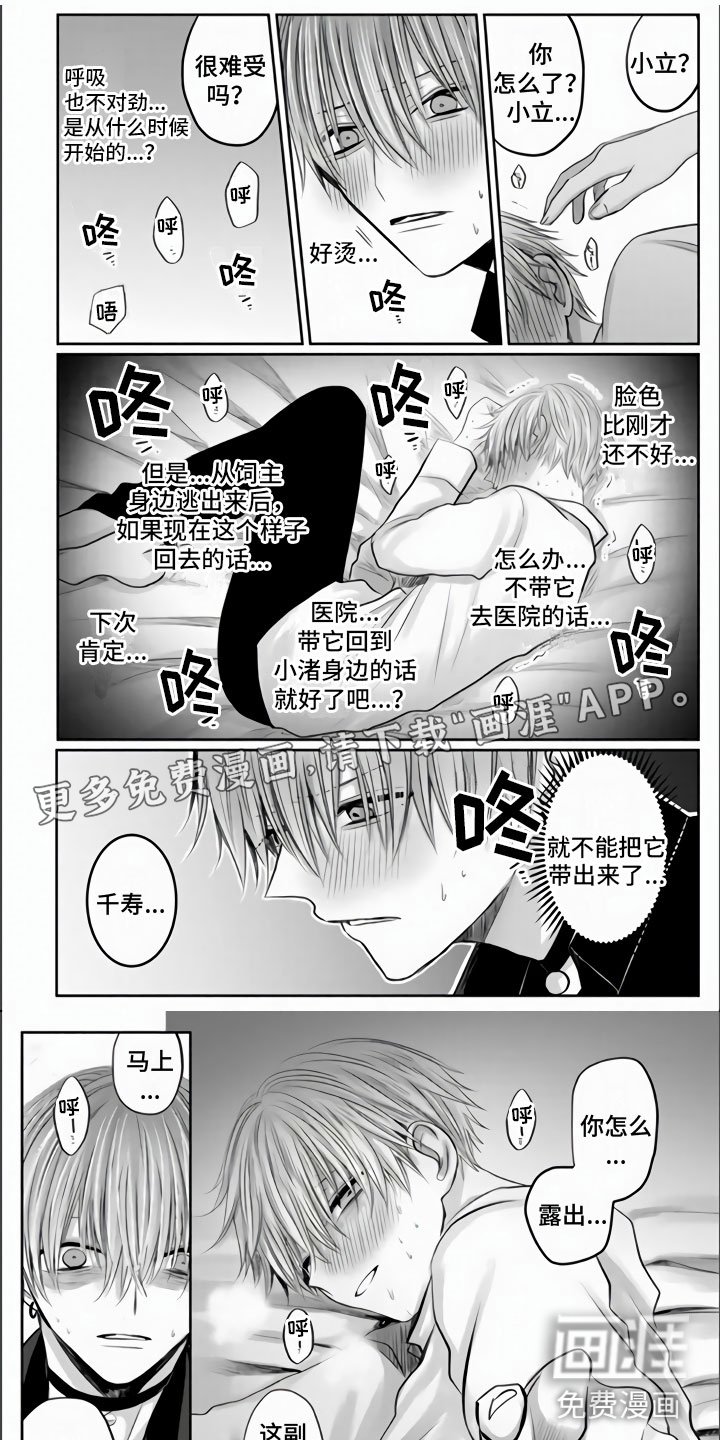 第31章：都是我的错