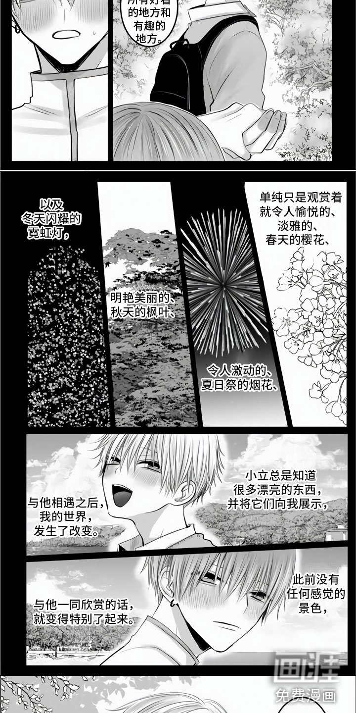 第31章：都是我的错