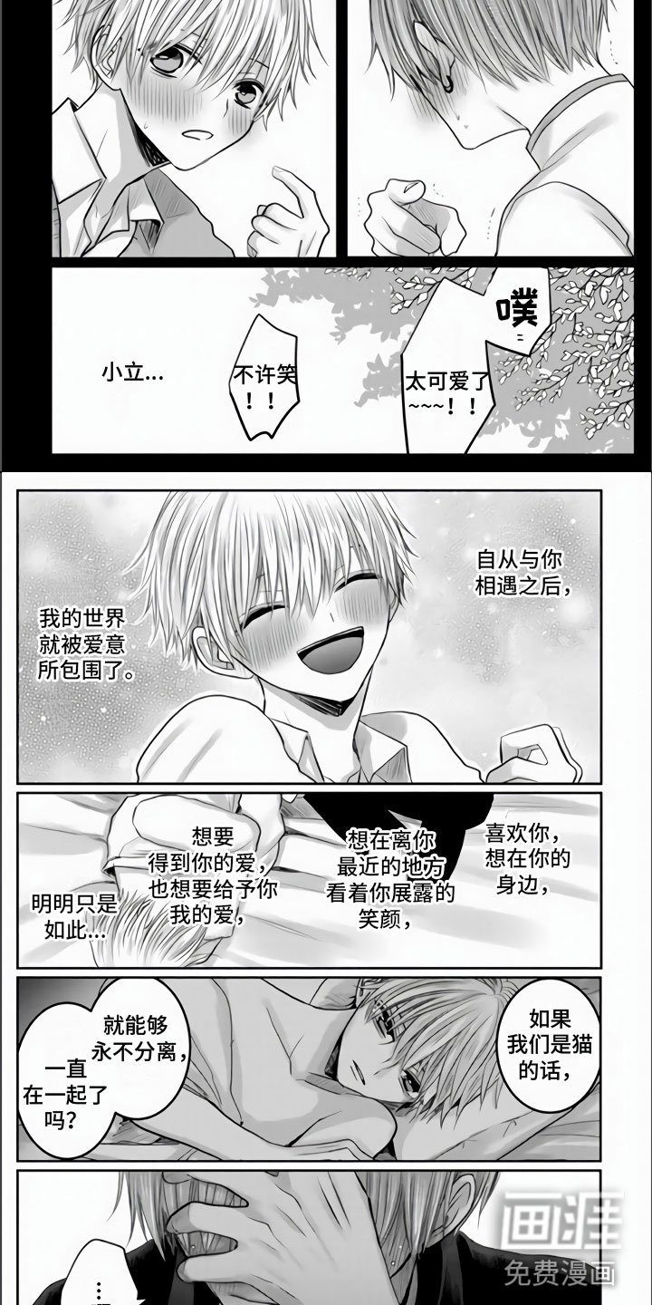 第31章：都是我的错