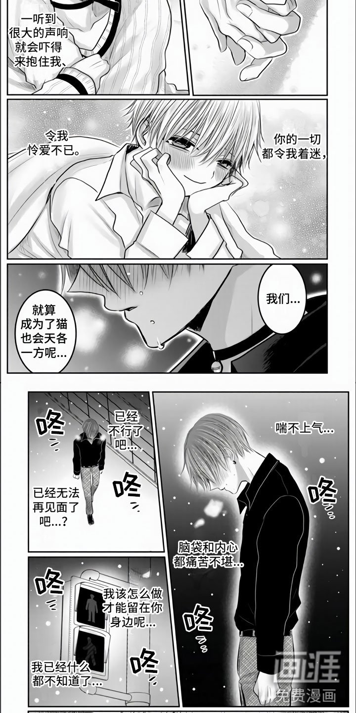 第32章：艰难的决定
