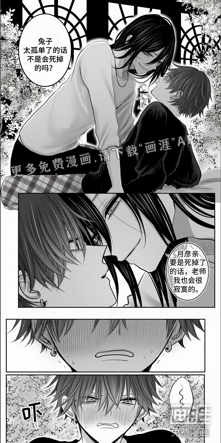 第36章：我们的相遇（完结）