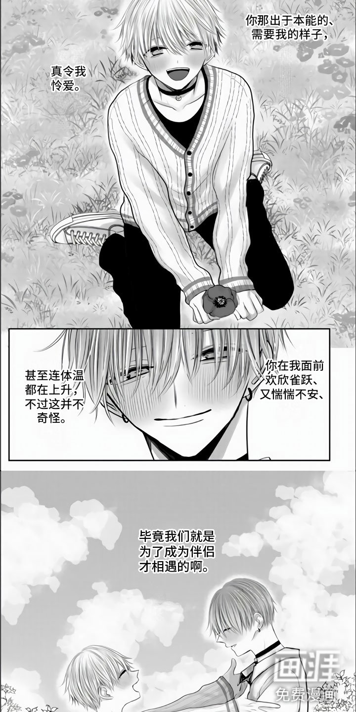 第36章：我们的相遇（完结）