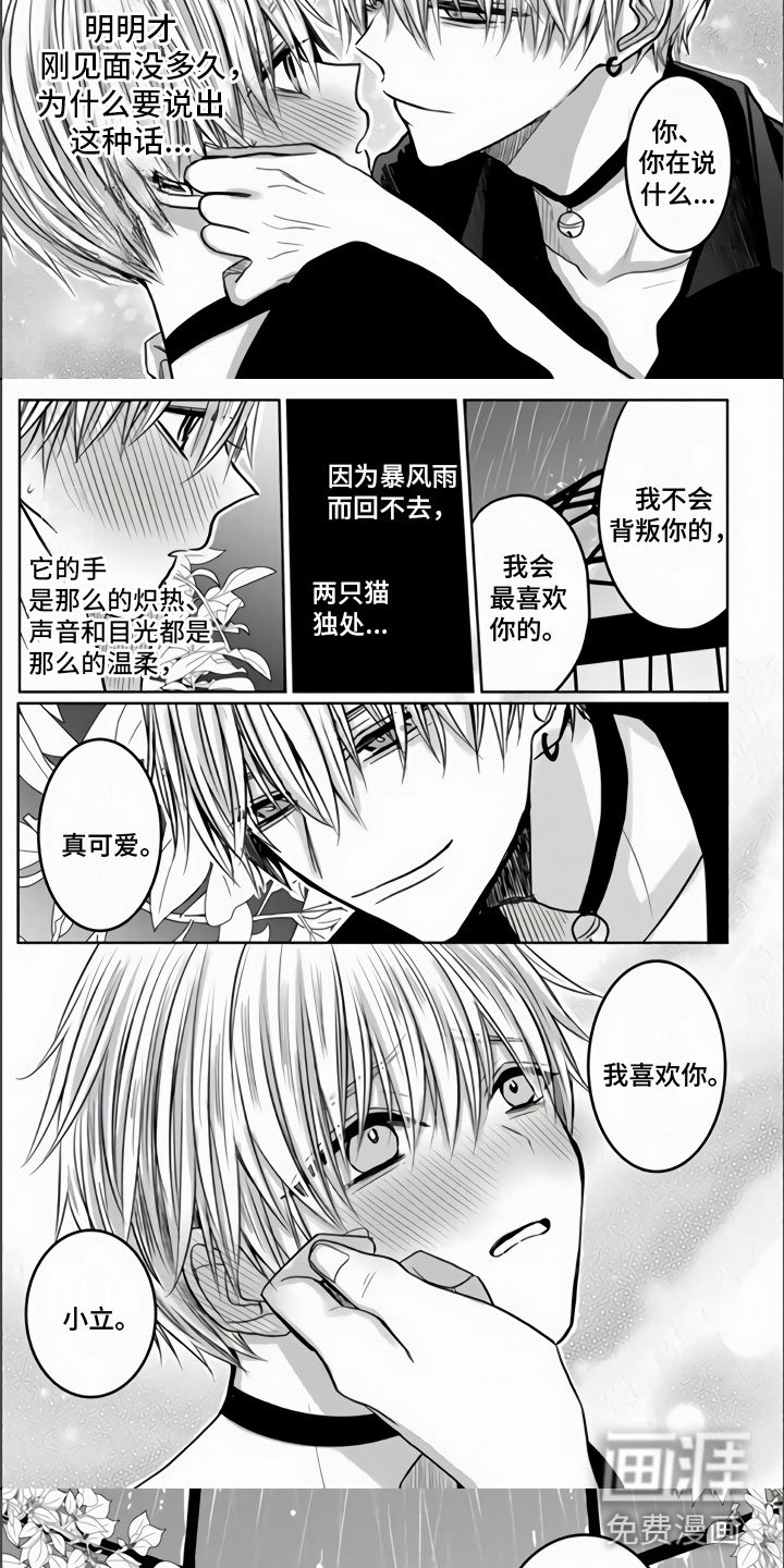 第4章：我喜欢你