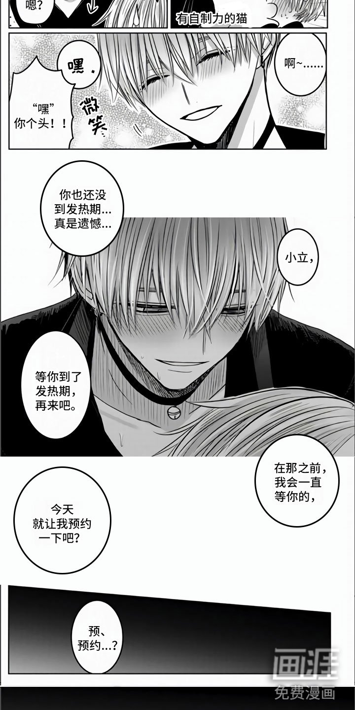 第5章：全世界最喜欢