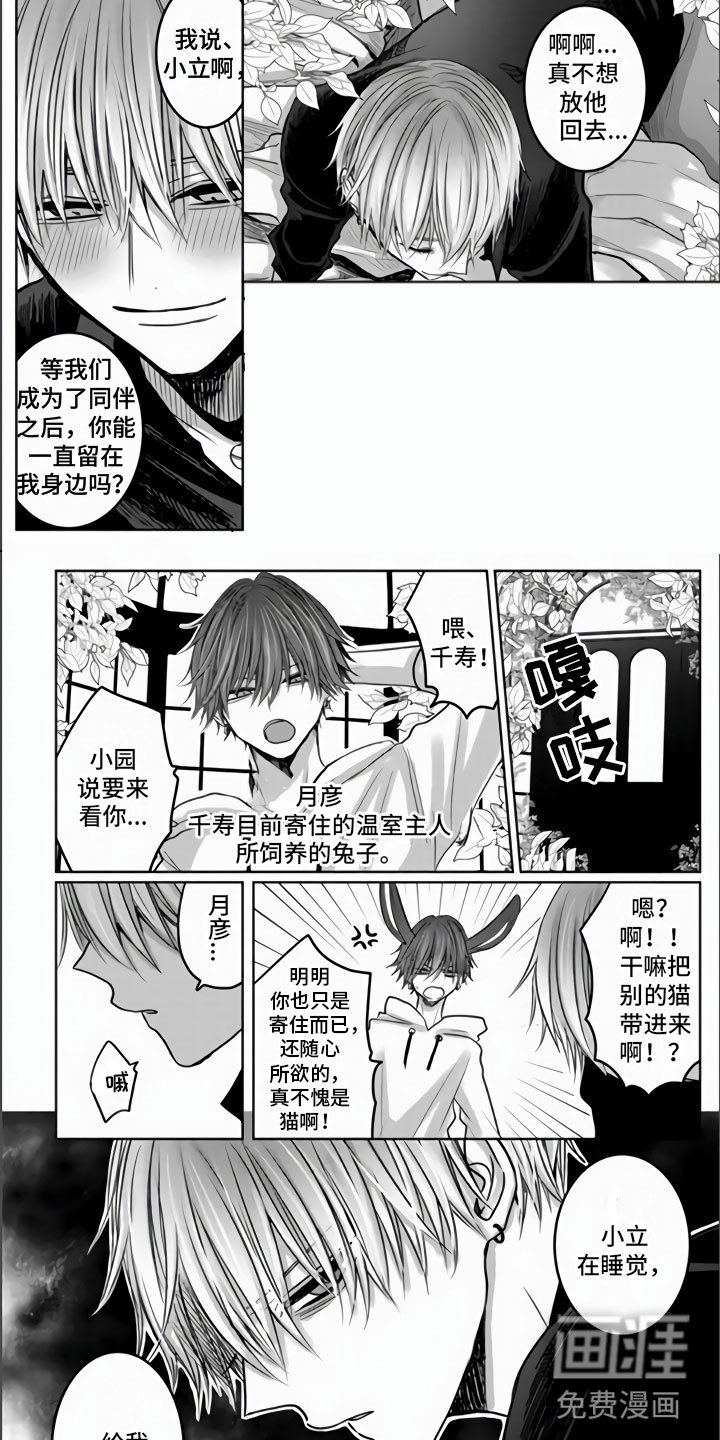第5章：全世界最喜欢